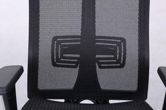 4 Supporting Points Executive Mesh Office Chair , DIOUS Flip Arm Office Chair