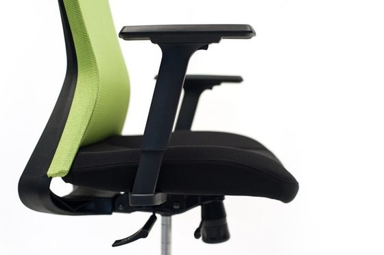 24.85KGS Mesh Back Computer Chair DIOUS Nylon Five Star Base
